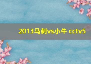 2013马刺vs小牛 cctv5